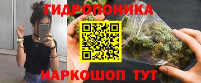 дмт Можга