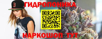 дмт Можга