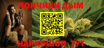 дмт Можга
