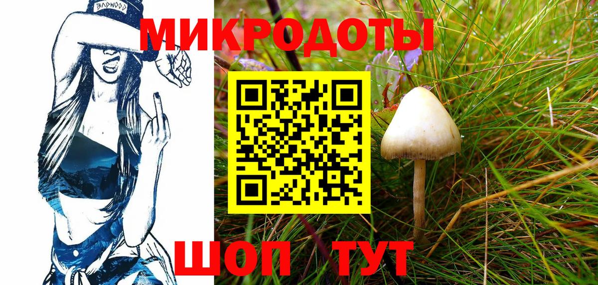 Галлюциногенные грибы Psilocybine cubensis  Псилоцибиновые грибы GOLDEN TEACHER  Славгород  Вход с VPN 