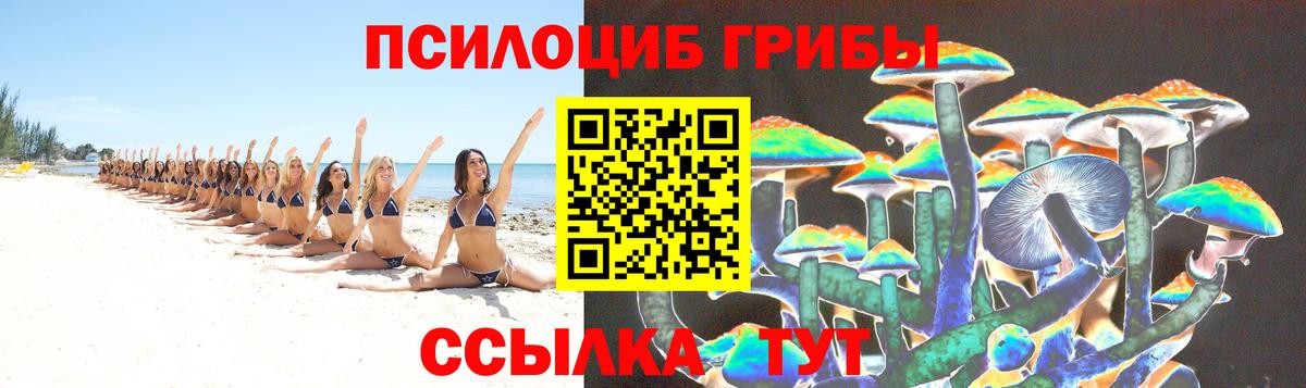 Псилоцибиновые грибы мицелий Славгород